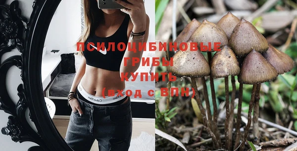 кокаин перу Богданович