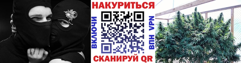 Купить где  Назарово  Каннабис ГИДРОПОН 